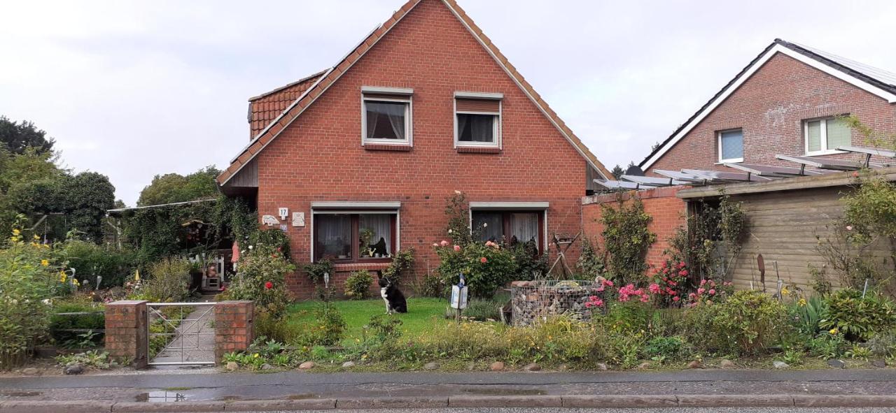 Petersdorf auf Fehmarn Ferienwohnung-Wildblume מראה חיצוני תמונה