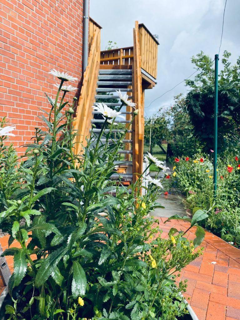 Petersdorf auf Fehmarn Ferienwohnung-Wildblume מראה חיצוני תמונה